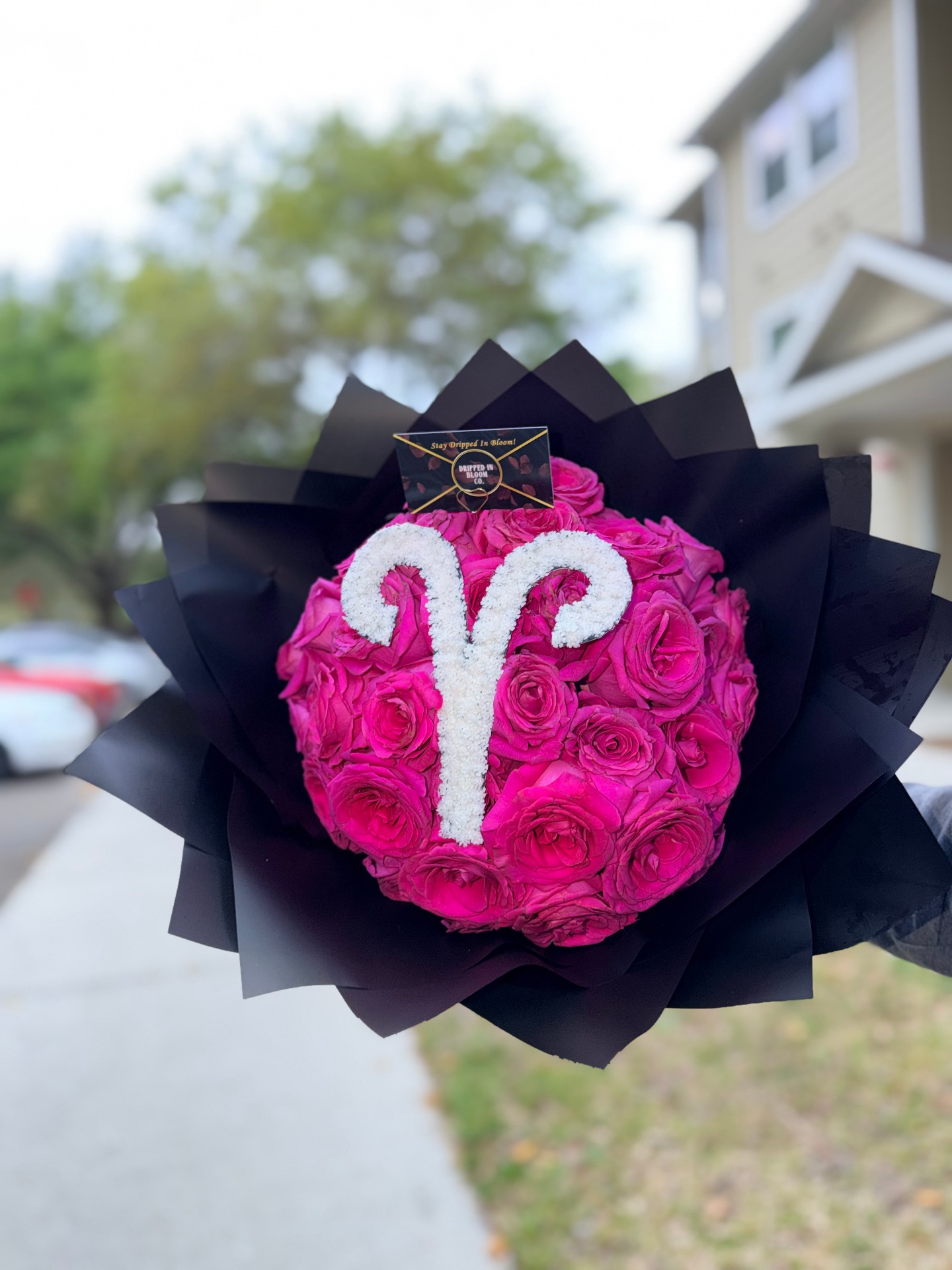 Aries — hot pink dome