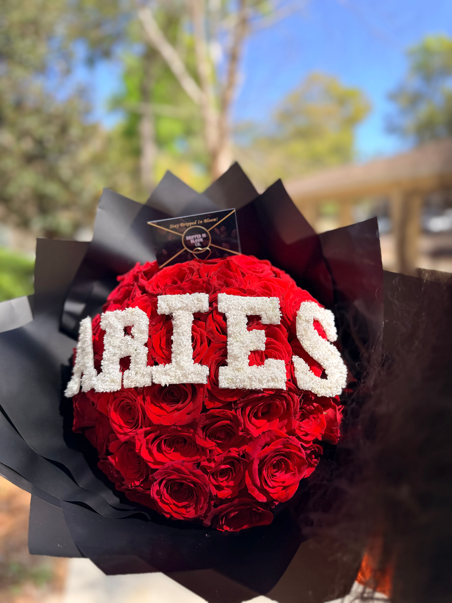 Aries — preserved red roses